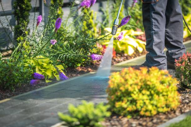 Best Winterizing Services  in Ravenna, OH