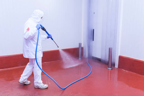 Best Dumpster Area Cleaning  in Ravenna, OH